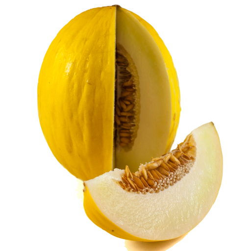Kavun Fidesi